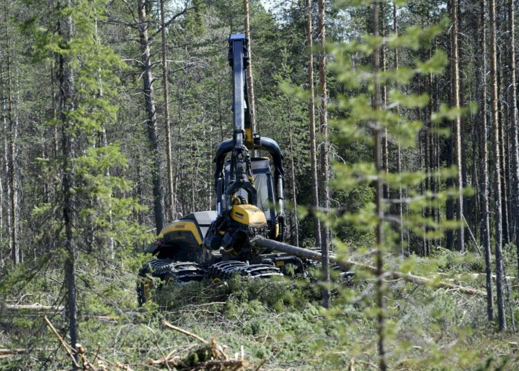 Metsäkone harvensi metsää Suomussalmella vuonna 2017.