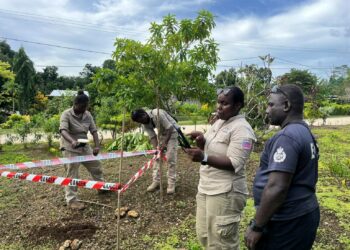 HALO tekee yhteistyötä Salomoninsaarten poliisivoimien räjähteiden raivausyksikön kanssa kirjatakseen räjähtämättömien ammuksien sijainteja Dunden alueella Mundassa, Länsiprovinssissa.