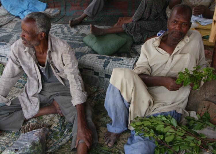 Miehet pureskelevat khatia etiopialaisen Dire Dawan kaupngin Chattara-torilla.