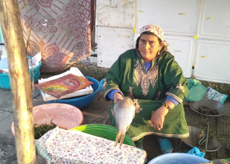 Rahti Begum myy läheisestä Daljärvestä pyydettyä kalaa katukäytävällä Intian Kašmirin pääkaupungissa Srinagarissa.