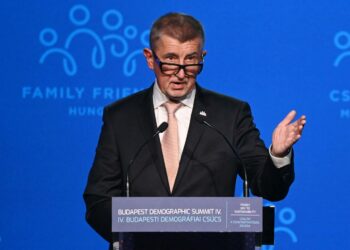 Tšekin pääministeri Andrej Babis omistaa veroparatiisien kautta hankitun luksushuvilan Ranskassa, käy ilmi kansainvälisen toimittajajärjestön ICIJ:n saamista tiedoista.