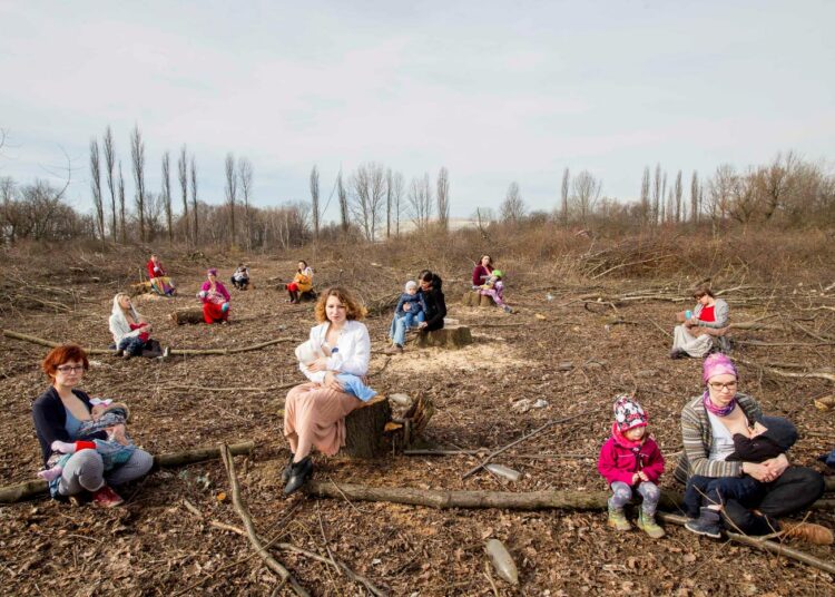 Lakiuudistuksen seurauksena kiihtynyt metsien hakkuu Puolassa herätti pienten lasten äidit protestoimaan. He jakavat somessa kuvia itsestään imettämässä kannonnokassa.