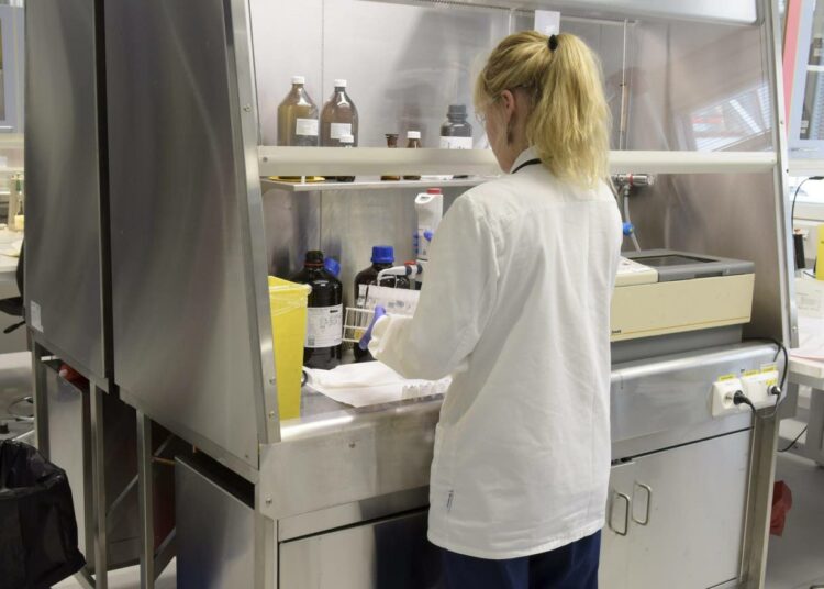 Työpaikkatutkaan rekisteröitynyt jäsen saa kännykkäänsä ilmoituksen hänelle sopivista työpaikoista. Arkistokuva vuodelta 2016.