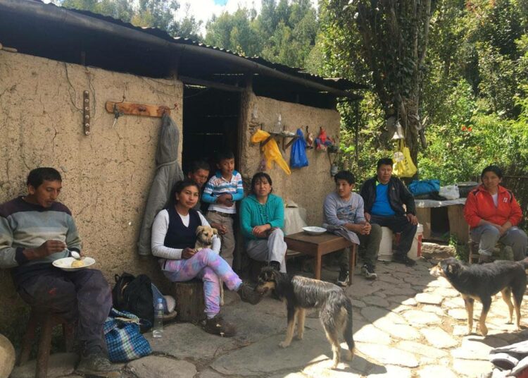 Perulainen Maribel Palomino (keskellä vihreässä puserossa) ja hänen sisaruksensa palasivat koronan vuoksi kotitilalleen Muñapatan kylään, joka sijaitsee Cuscon alueella yli 3 000 metrin korkeudessa.