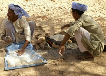 Vehnäleipä on olennainen osa egyptiläisten ruokavaliota, joten uusi hallitus joutuu miettimään keinoja viljan riittävyyden turvaamiseksi.