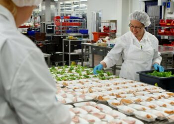 Finnairin ruoka-annokset on valmistettu Finnair cateringin tuotantotiloissa, mutta nyt toiminta ulkoistetaan Lufthansan tytäryhtiölle.