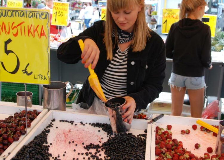 Kristiina Tuhkanen on saanut metsämustikan ensi satoa myytäväkseen.