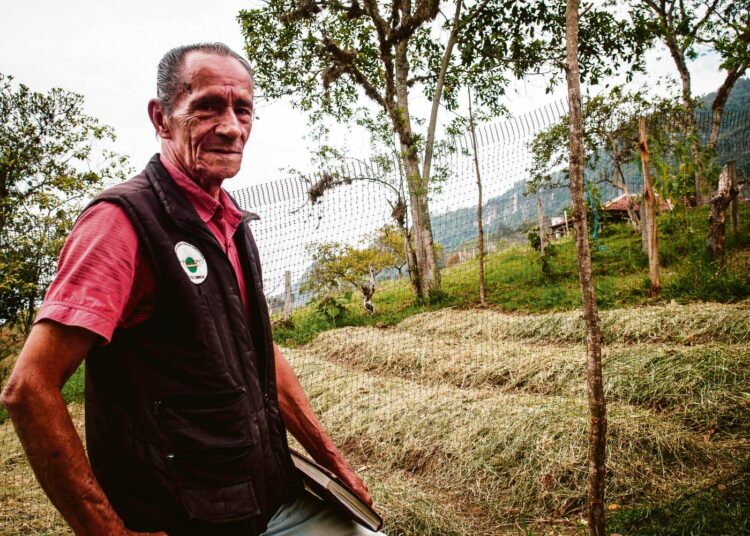 Orlando Asante on menettänyt kaikki kolme poikaansa Kolumbiaa riivaavassa väkivallassa. Hän opettaa perinteistä maanviljelyä.