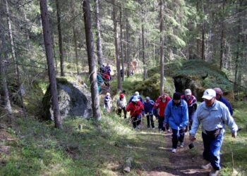 Monenlainen toiminta yhdistystoiminnasta vertaistukeen ja vapaaehtoistyöhön on hyte-toimintaa. Sitä tehdään esimerkiksi erilaisissa ikäihmisten kerhoissa.