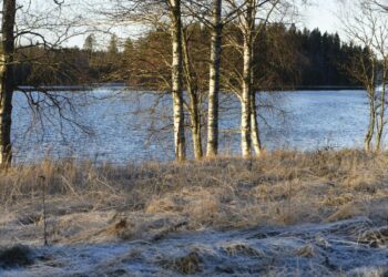 Vesipuitedirektiivin tarkoitus on suojella järviä, jokia ja kosteikkoja.
