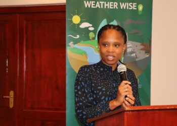 Meteorologian laitoksen johtaja Duduzile Nhengethwa-Masina Eswatinin turismi- ja ympäristöasioiden ministeriöstä sanoo, ettei kaikkia ilmastosopimuksen tavoitteita saavutettu. Resurssien, etenkin yksityisen sektorin panoksen puute on ollut kompastuskivenä, mutta valtio on uudistanut sitoumuksensa sopimukseen.