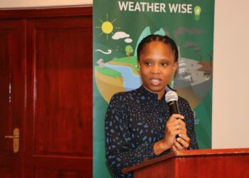 Meteorologian laitoksen johtaja Duduzile Nhengethwa-Masina Eswatinin turismi- ja ympäristöasioiden ministeriöstä sanoo, ettei kaikkia ilmastosopimuksen tavoitteita saavutettu. Resurssien, etenkin yksityisen sektorin panoksen puute on ollut kompastuskivenä, mutta valtio on uudistanut sitoumuksensa sopimukseen.