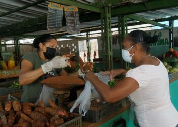Kauppa käy maatalousosuuskunnan markkinoilla Havannassa. Kuuban hallitus yrittää lisätä maataloustuotantoa uusien kannustimien avulla.