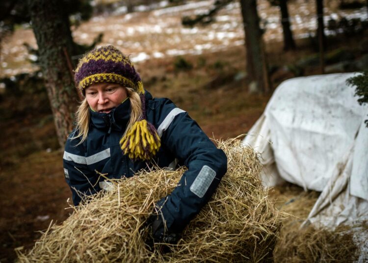 Lotta Laaksonen.