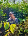 Maanviljelijä Samir Bordoloi esittelee teenuppua puutarhassaan. Hän kasvattaa maatilallaan muun muassa kurkumaa, jakkihedelmää, papaijaa ja chiliä. Bordoloi sanoo itseään myötätuntoiseksi maanviljelijäksi, joka ei usko maanmuokkaukseen, tuholaismyrkkyihin eikä kemiallisiin lannoitteisiin.