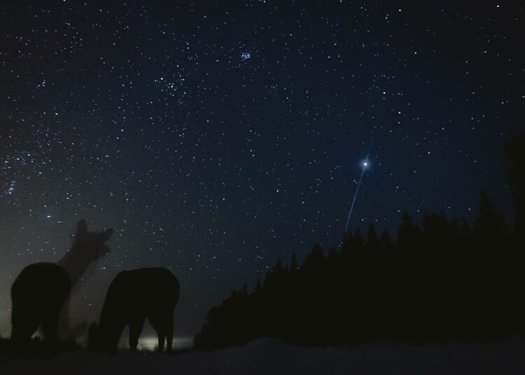 Euroopan luontokuva 2012 on nimeltään Tähtien tarkkailija