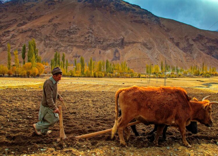 Gilgit-Baltistan on tunnettu kuvankauniista maisemistaan, mutta vuoristojäätiköiltä sulava vesi on nostanut tuhotulvien riskiä.