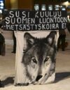 Oikeutta eläimille -yhdistyksen ja Luonto-Liiton Susiryhmän järjestämä mielenosoitus susien kannanhoidollista metsästystä vastaan Helsingissä tiistaina.