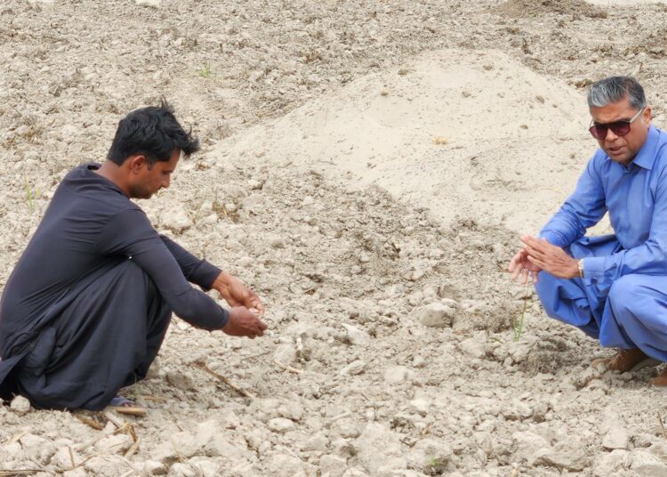 Maatilan eläinten lantaa ja jokilietettä käytetään maaperän rikastamiseen ja happamuuden säätelyyn, Mahmood Nawaz Shah (oik.) kertoo.