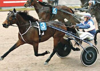 Janne Korpi ohjastaa derby-voittaja Arctic Hopea päätöskohteessa.