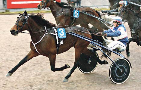 Janne Korpi ohjastaa derby-voittaja Arctic Hopea päätöskohteessa.