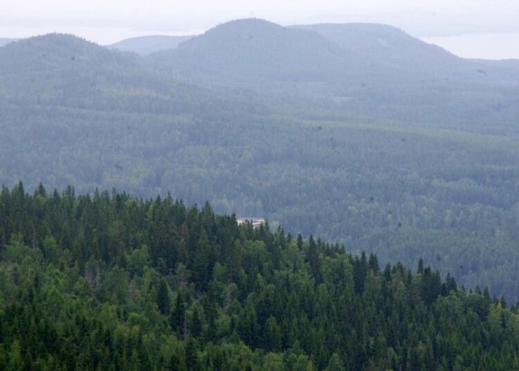 Näkymä Ukko-Kolilta. Keskellä valkoisena näkyvä kylpylä valmistunee vuodenvaihteessa. Sen yhteyteen suunnitellaan hotellia.
