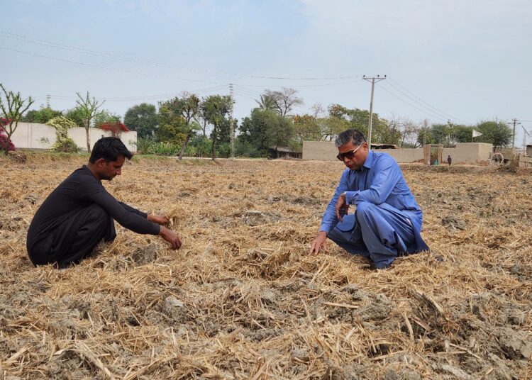 Sokeriruokojäte ravitsee maaperää Mahmood Nawaz Shahin (oik.) maatilalla. Hyvin usein jäte poltetaan ja näin lisätään kasvihuonekaasupäästöjä.