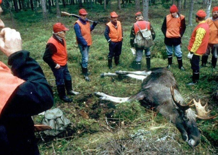 Hirviporukka on saanut saalista.