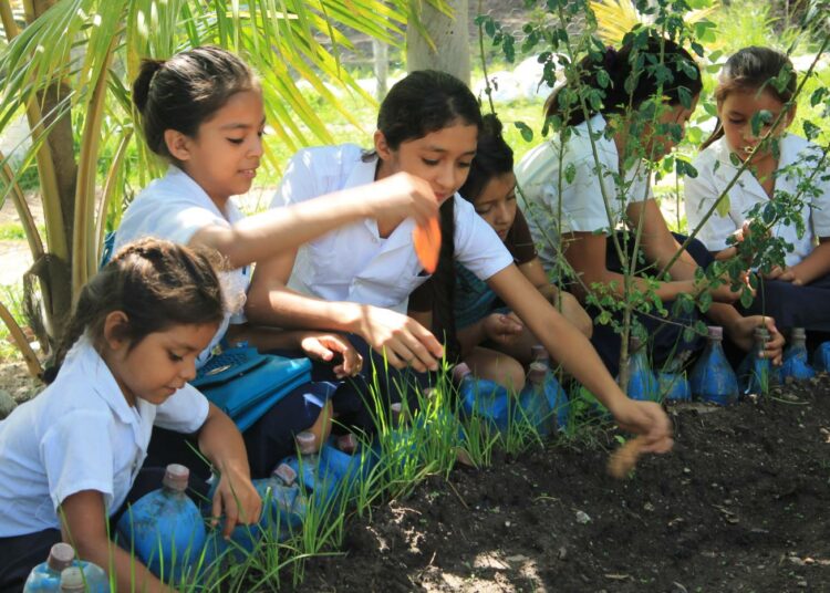Hondurasilaisen kyläkoulun oppilaat hoitavat omaa kasvimaata ja saavat tietoa terveellisestä ravinnosta.