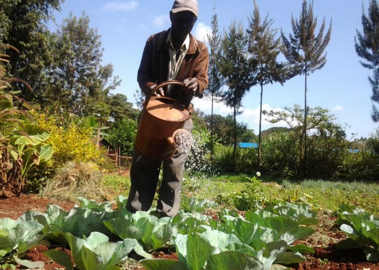 Kenian maatalouden arvioidaan käyttävän vettä enemmän kuin maan vesivarat sietävät. Tämän tiedon vuoksi maanviljelijöille suositellaan vähällä vedellä kasvaviin kasveihin vaihtamista.