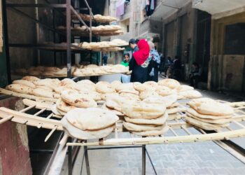 Ukrainan kriisi on vaarantanut Egyptin vehnänsaannin, ja vehnän joka tapauksessa nouseva hinta todennäköisesti pakottaa nostamaan leivänkin hintaa. Leipä on kautta vuosikymmenten ollut Egyptissä halpaa valtion maksamien tukiaisten johdosta, sillä leivän hinta on aiemmin johtanut levottomuuksiin.