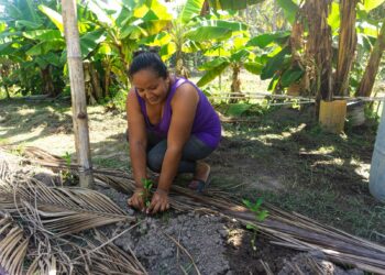 Patricia Argueta istuttaa paprikan taimia Hoja de Salin yhteisöpuutarhaan. Hän kuuluu niihin maanviljelijöihin, jotka oppivat uusia agroekologisia käytäntöjä.