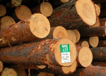 Metsäalalla arvioidaan olevan runsaat kolme tuhatta työntekijää