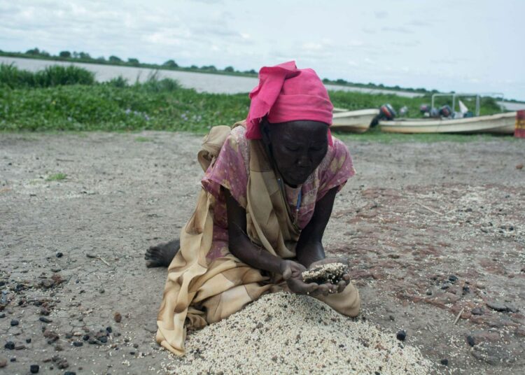 Siviilit kärsivät eniten Etelä-Sudanin sisällissodasta, mutta sen uhreja ovat myös villieläimet.