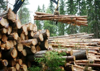 EU:n komission keskiviikkona julkistama paketti koskee Suomessa erityisesti metsäsektoria.