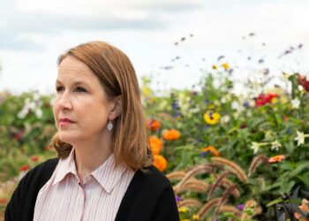 Veronika Honkasalo muistuttaa, että asiantuntijat ovat olleet selväsanaisia: ilman esimerkiksi hakkuutason maltillistamista ja hiilinielujen voimakasta vahvistamista me emme saavuta hiilineutraaliustavoitettamme. Hallitus ei tästä kuitenkaan välitä.