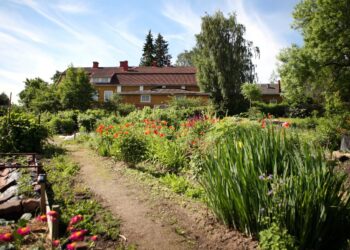Professori Toivo Rautavaaran perustama Hyötykasviyhdistys vuokraa alunperin kauppaneuvos Gustaf Waseniuksen 1800-luvulta peräisin olevan kartanon tiluksia.
