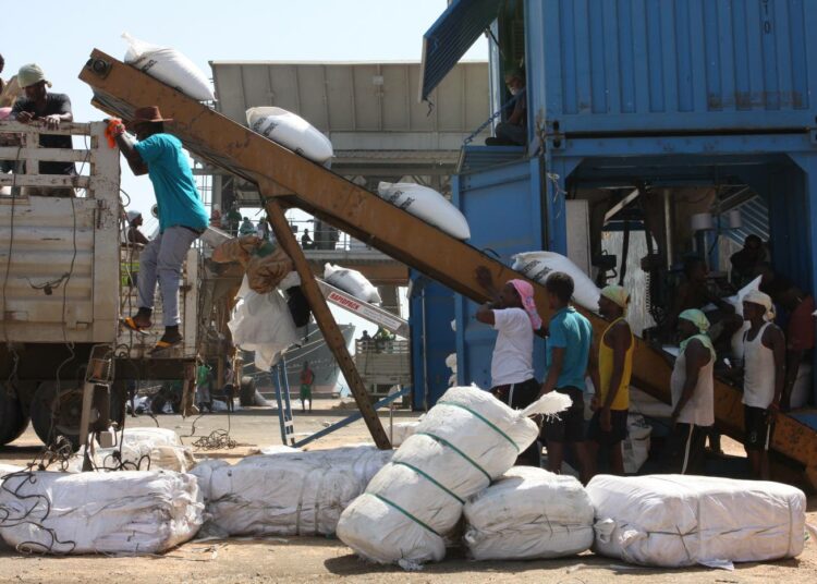 Adeninlahdella sijaitsevassa Djiboutin satamassa puretaan laivoista viljasäkkejä vietäviksi kuivuudesta ja ruokapulasta kärsivään Etiopiaan.