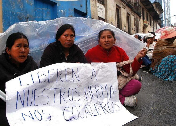 ”Vapauttakaa kokankasvattajaveljemme”, vaativat Yungasin alueelta tulleet naiset Bolivian pääkaupungin La Pazin poliisiaseman edustalla helmikuussa. Miehet oli pidätetty väkivaltaisiksi yltyneissä mielenosoituksissa, joissa vaadittiin kokapensaan sallitun viljelyalan lisäämistä.
