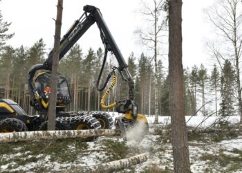 Avohakkuiden rajoittamista kannattavat vihreät, vasemmistoliitto ja perussuomalaiset.