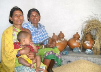 Alkuperäiskansaan kuuluvia naisia ja kylän oma siemenpankki Odishan osavaltion Koraputin alueella. Naiset ovat perinnesiemenien ja -tiedon varjelijoita.