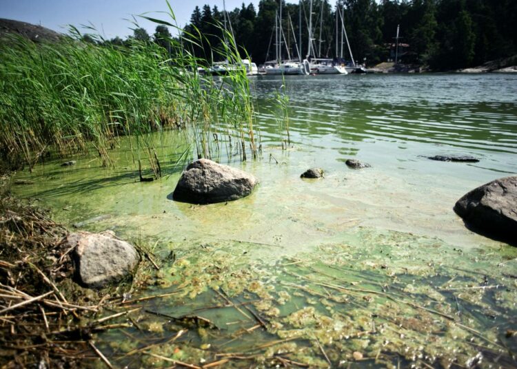 Itämeri on maailman saastuneimpia meriä.