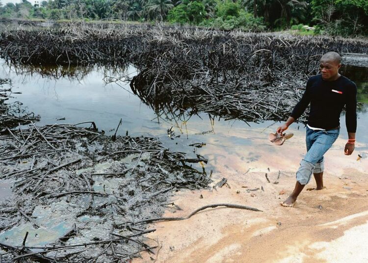 YK:n ympäristöjärjestön tuoreen raportin mukaan kaikki Ogonimaan vesistöt ovat öljyn saastuttamia ja 49 paikkakunnalla öljy on tuhonnut maaperän ainakin viiden metrin syvyydeltä. Shellin vuosikymmenien takaisia öljytuhoja ei ole koskaan puhdistettu.