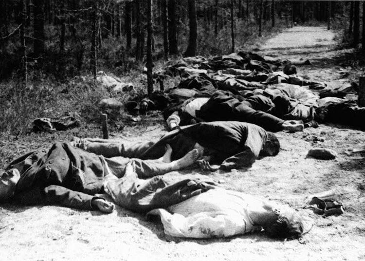 Lounais-Suomen murha-aalto keväällä 1918 saattoi johtua sotakokemuksia janoavan ruotsalaisluutnantin kunnianhimosta.