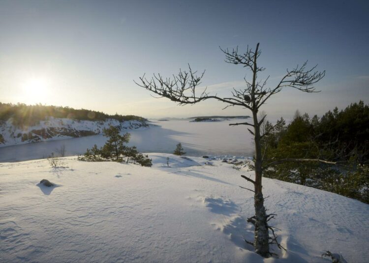 Näkymä Porkkalanniemeltä Kirkkonummelta luotsiaseman vierestä 14. tammikuuta 2016. Maa- ja metsätalousvaliokunnan mietintö Metsähallituksesta julkaistaan torstaina.