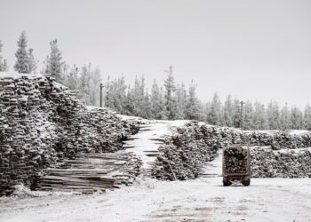 Mai Kivelä muistuttaa siitä, että hakkuiden hillitseminen on välttämätöntä ilmastotavoitteiden saavuttamiseksi.