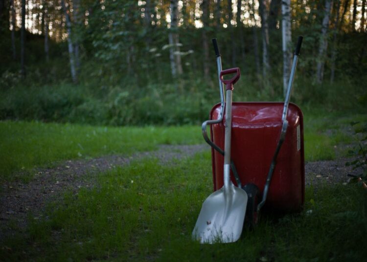 Työvoiman saanti etenkin maaseudun kausityöhön on koronakriisin vuoksi uhattuna.