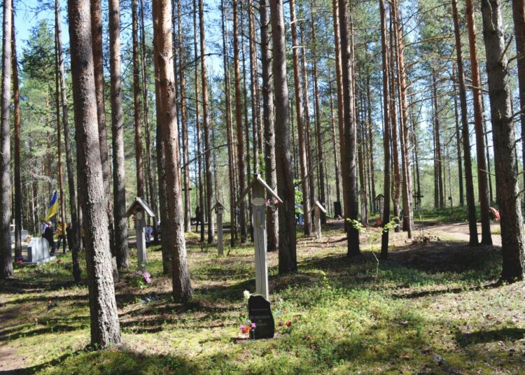 Sandarmohin joukkohaudat naamioitiin neuvostoaikana istuttamalla niiden päälle täysikasvuisia mäntyjä. Nyt vankilassa olevan Juri Dmitrijevin johtama Memorial-yhdistyksen retkikunta löysi hautapaikan kesällä 1997.