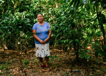 Elsalvadorilainen María de Jesús Anaya kasvattaa kahvipensaita pienellä perintötilallaan. Hän uskoo satojen paranevan uusien ilmastonkestävien lajikkeiden myötä.