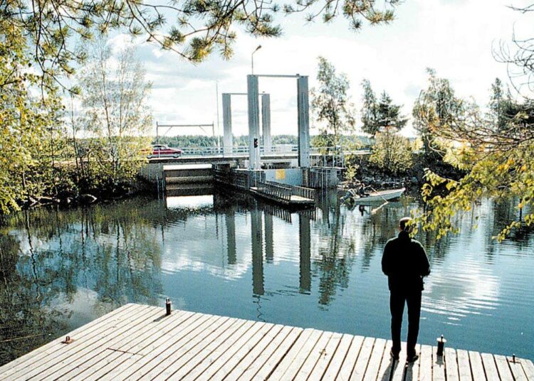 Uudenkaupungin makeavesialtaalla on esiintynyt runsain kasvustoin rentovihvilää hankaloittaen veneilyä.